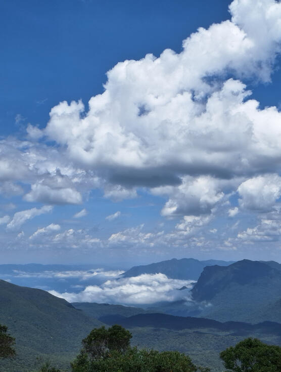 Cloud layer flowing through the Serra do Mar mountain range. 2024.